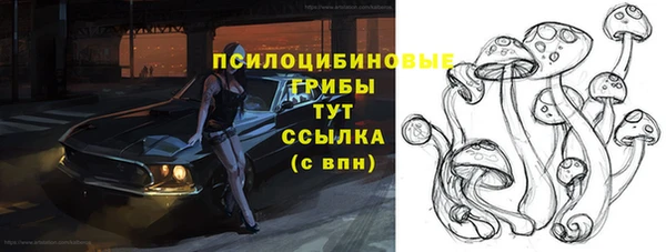 ECSTASY Алексеевка