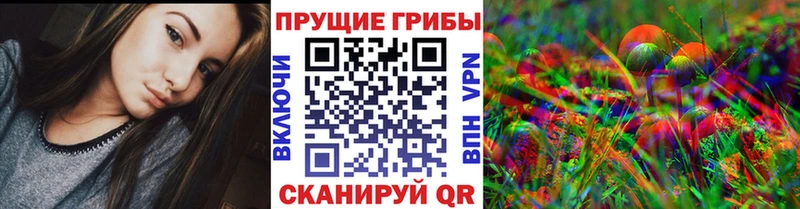 Псилоцибиновые грибы мицелий  МЕГА зеркало  Салехард 