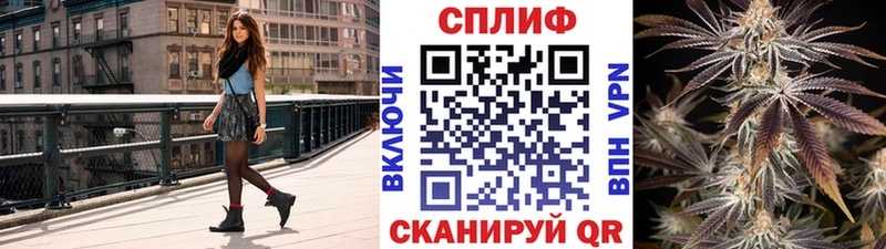 Шишки марихуана VHQ  Салехард 
